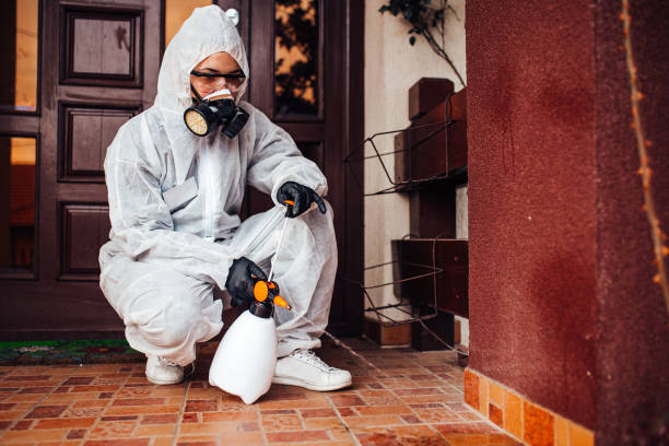 Reliable Cockroach Control contractor in Morgan Hill, CA by Nex Pest Control